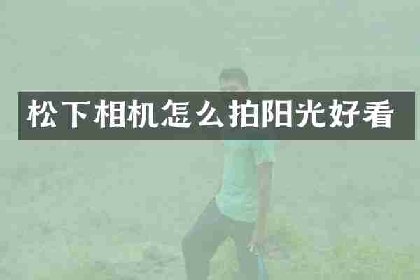 相机怎么拍阳光好看