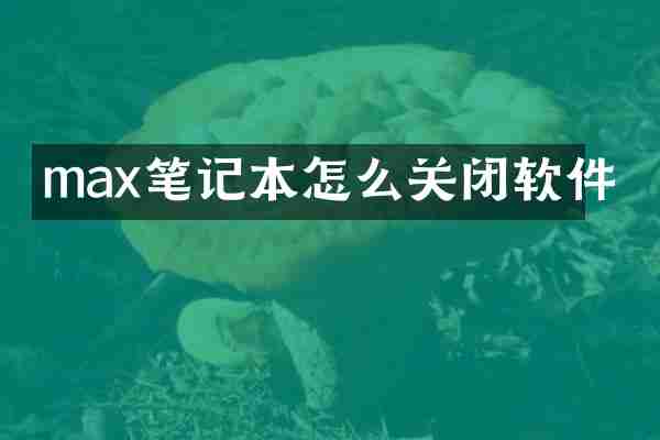 max笔记本怎么关闭软件