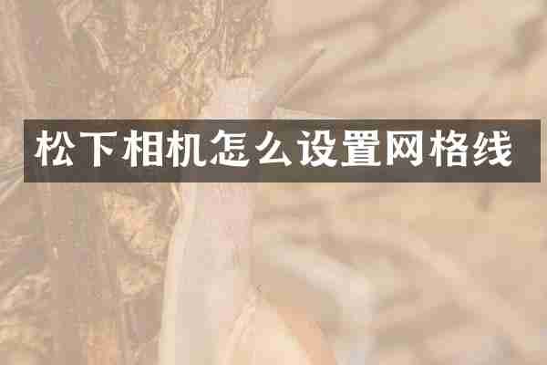 相机怎么设置网格线
