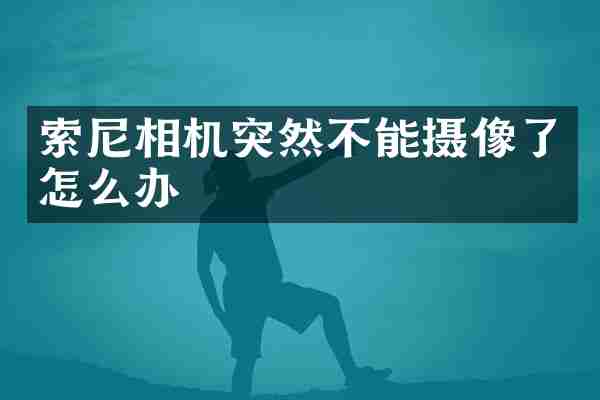 索尼相机突然不能摄像了怎么办