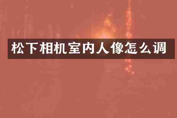相机室内人像怎么调