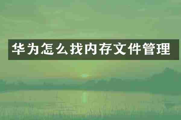 华为怎么找内存文件管理