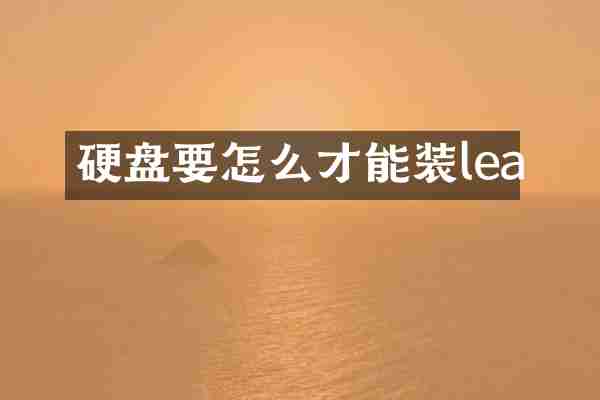 硬盘要怎么才能装lea