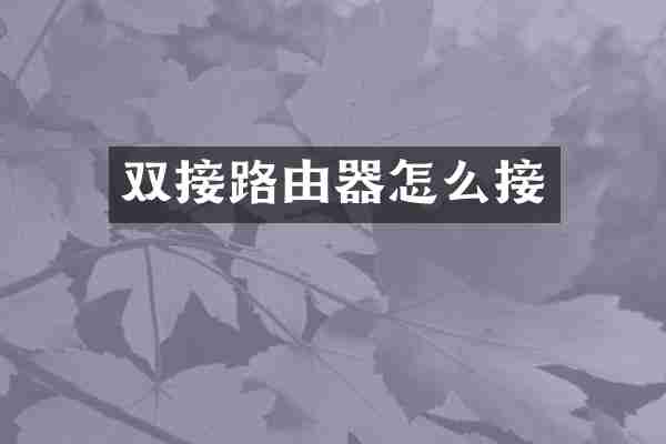 双接路由器怎么接