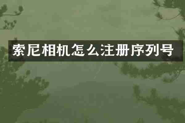 索尼相机怎么注册序列号