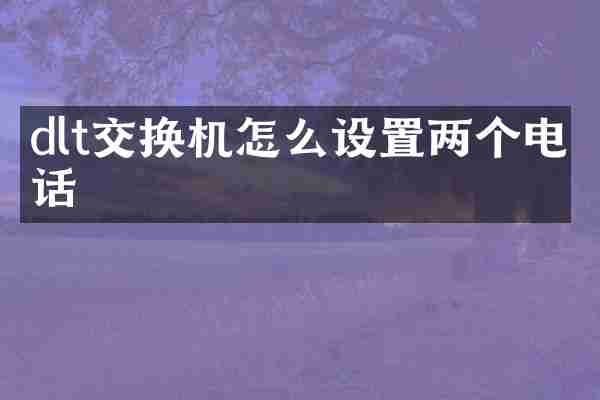 dlt交换机怎么设置两个电话