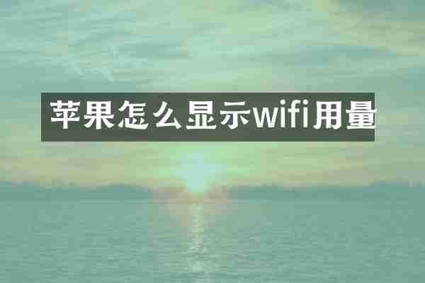 苹果怎么显示wifi用量