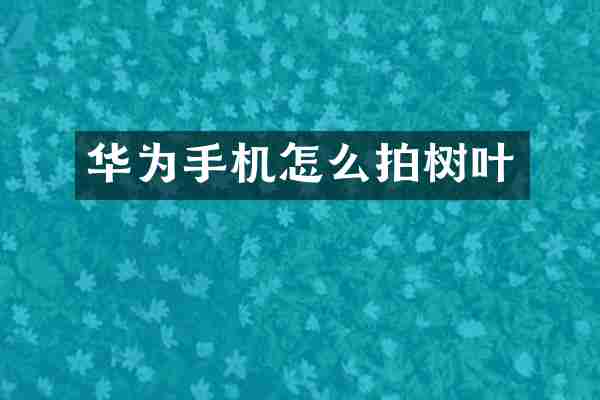 华为手机怎么拍树叶