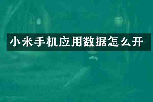 小米手机应用数据怎么开
