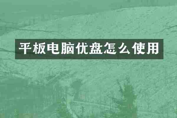 平板电脑优盘怎么使用