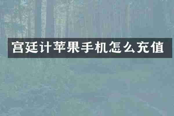 宫廷计苹果手机怎么充值
