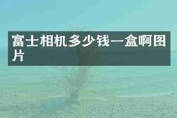 富士相机多少钱一盒啊图片