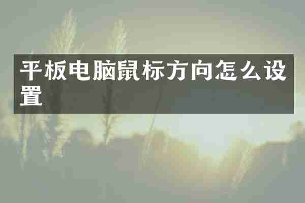 平板电脑鼠标方向怎么设置