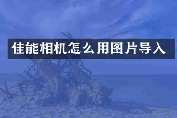 佳能相机怎么用图片导入