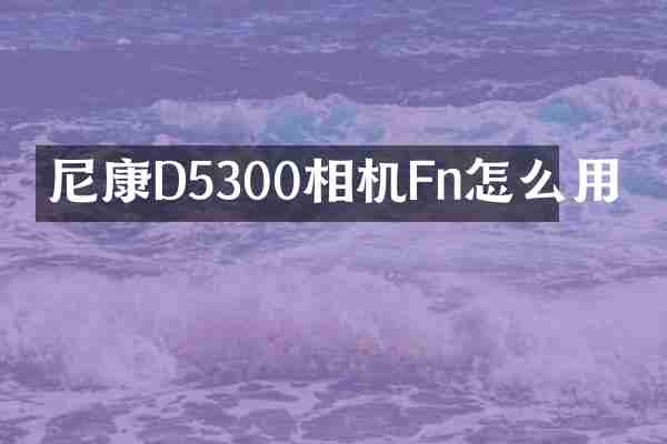 尼康D5300相机Fn怎么用