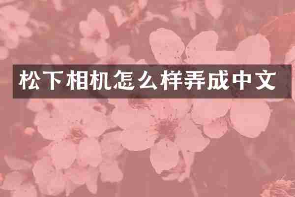 相机怎么样弄成中文