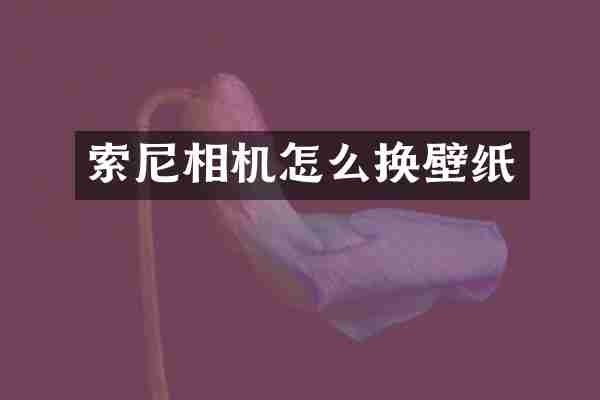 索尼相机怎么换壁纸