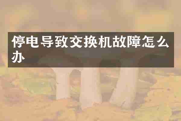 停电导致交换机故障怎么办