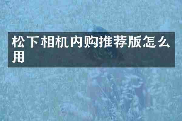相机内购推荐版怎么用