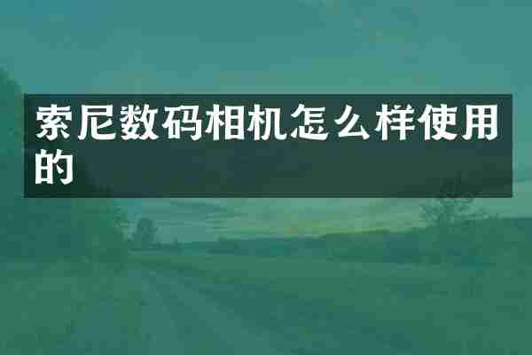 索尼数码相机怎么样使用的