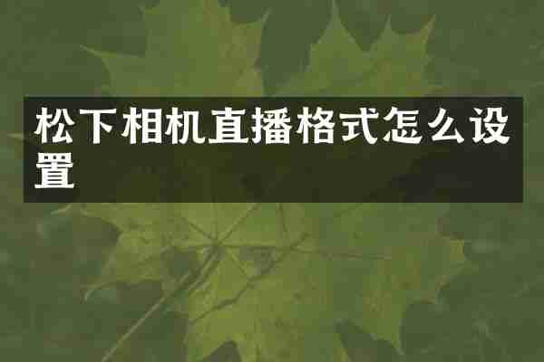 相机直播格式怎么设置