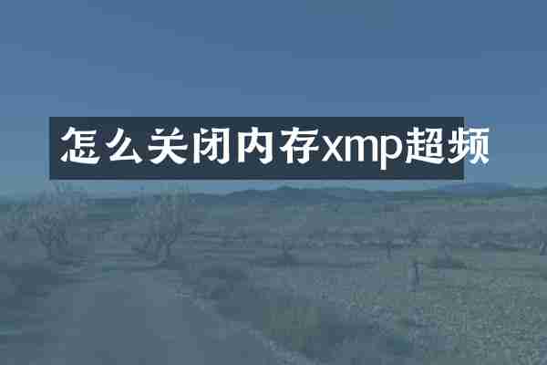 怎么关闭内存xmp超频