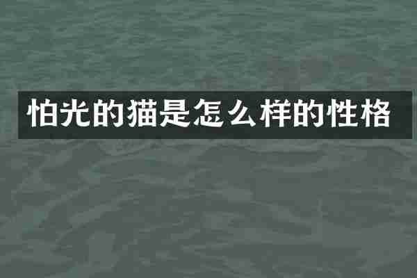 怕光的猫是怎么样的性格