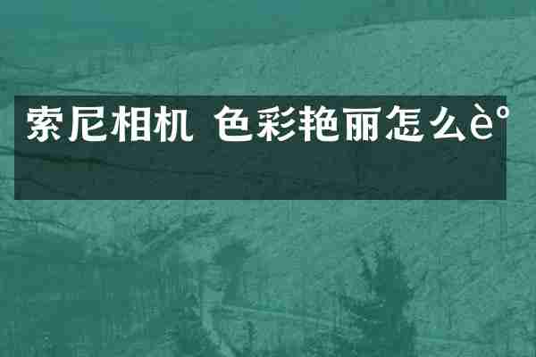 索尼相机 色彩艳丽怎么调