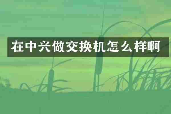在中兴做交换机怎么样啊