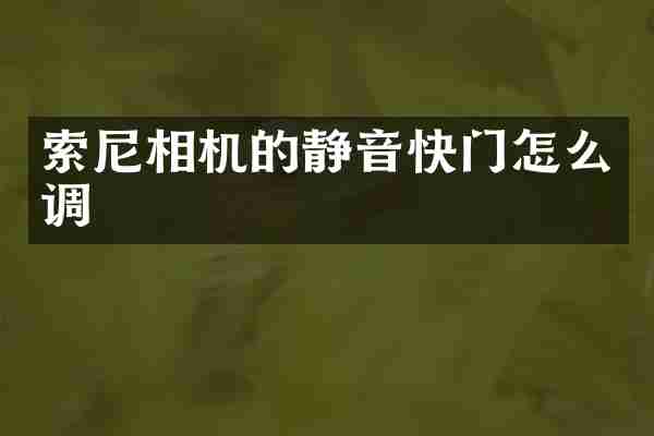 索尼相机的静音快门怎么调