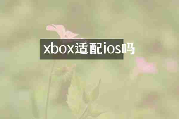 xbox适配ios吗