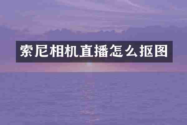 相机直播怎么抠图