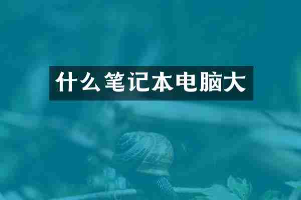 什么笔记本电脑大