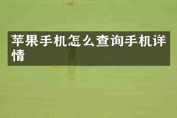 苹果手机怎么查询手机详情
