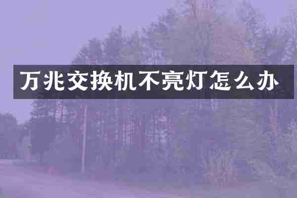 万兆交换机不亮灯怎么办