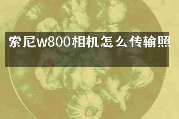 索尼w800相机怎么传输照片