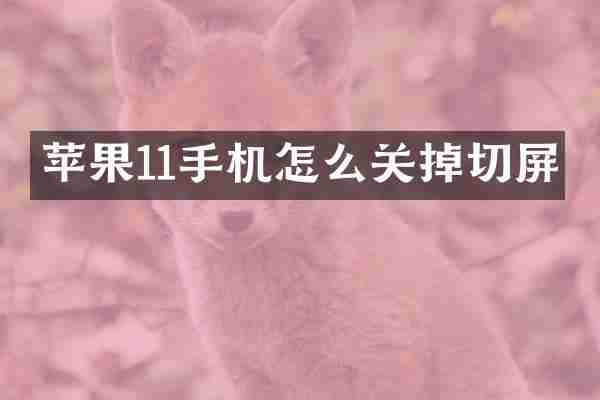 苹果11手机怎么关掉切屏