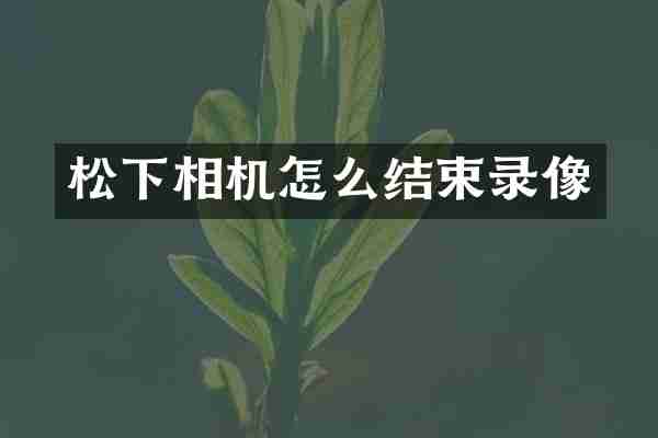 相机怎么结束录像