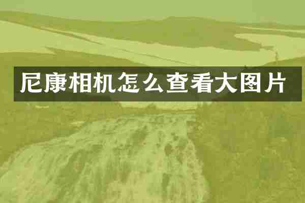 尼康相机怎么查看大图片