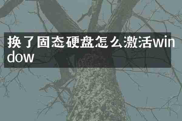 换了固态硬盘怎么激活window