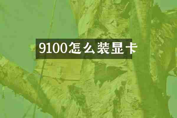 9100怎么装显卡