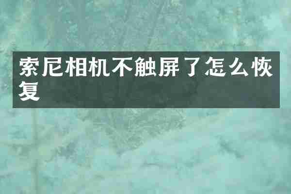 索尼相机不触屏了怎么恢复
