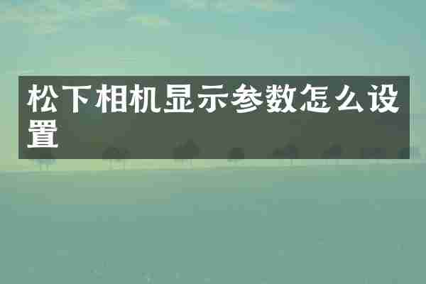相机显示参数怎么设置