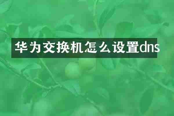 华为交换机怎么设置dns