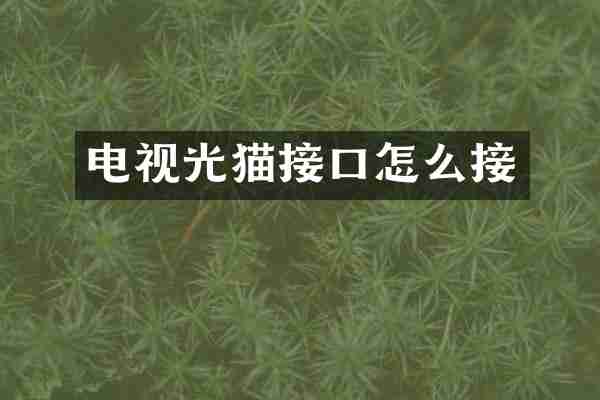 电视光猫接口怎么接