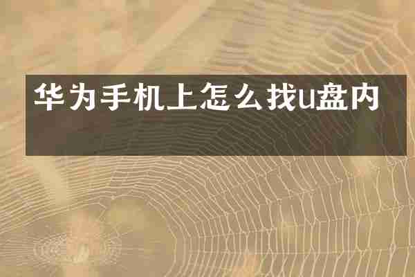 华为手机上怎么找u盘内容