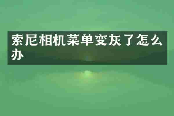 索尼相机菜单变灰了怎么办