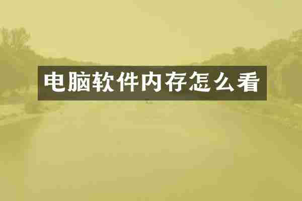 电脑软件内存怎么看