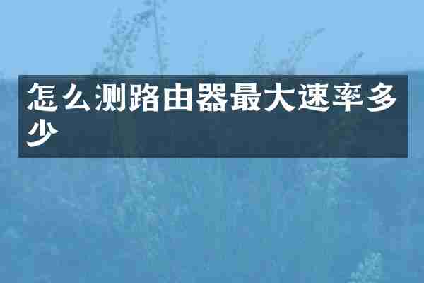 怎么测路由器最大速率多少
