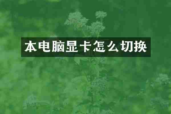 本电脑显卡怎么切换